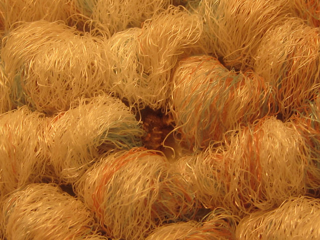 Carpet Fibers