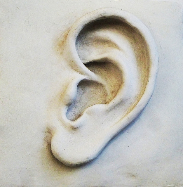 Ear